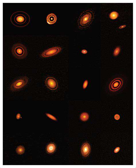 The James Webb Space Telescope's Early Discoveries