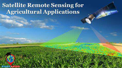 Satellite Based Agricultural Productivity