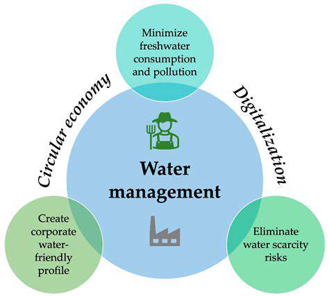 TheRoleofSpaceinSustainableWaterManagement