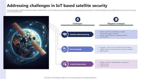 AddressingtheChallengesofSatelliteSurveillance