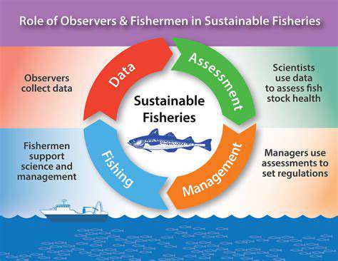 Satellite Based Fisheries Compliance Monitoring