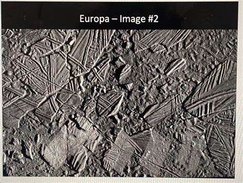 InvestigatingEuropa'sGeologicalActivityandPotentialforLife