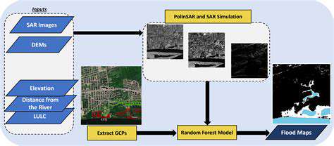 SatelliteImageryforReal-TimeUrbanMonitoring