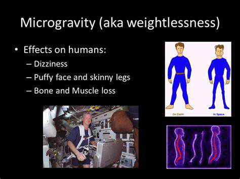 TheIntriguingRealmofMicrogravityandItsEffectonHumanPhysiology