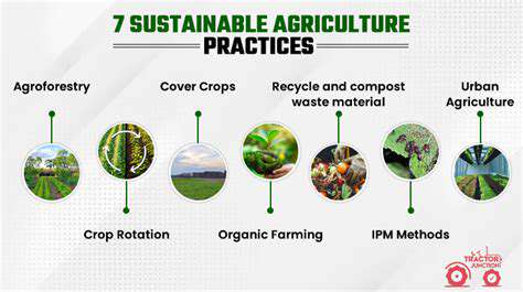 Satellite Based Environmental Management