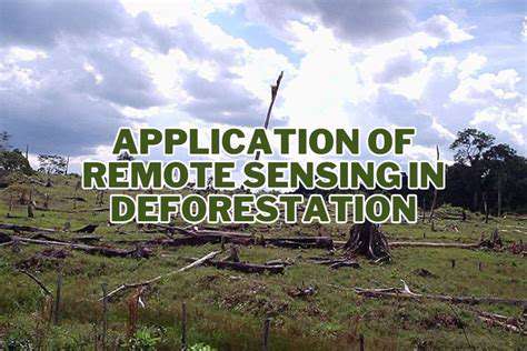 Satellite Based Forest Monitoring